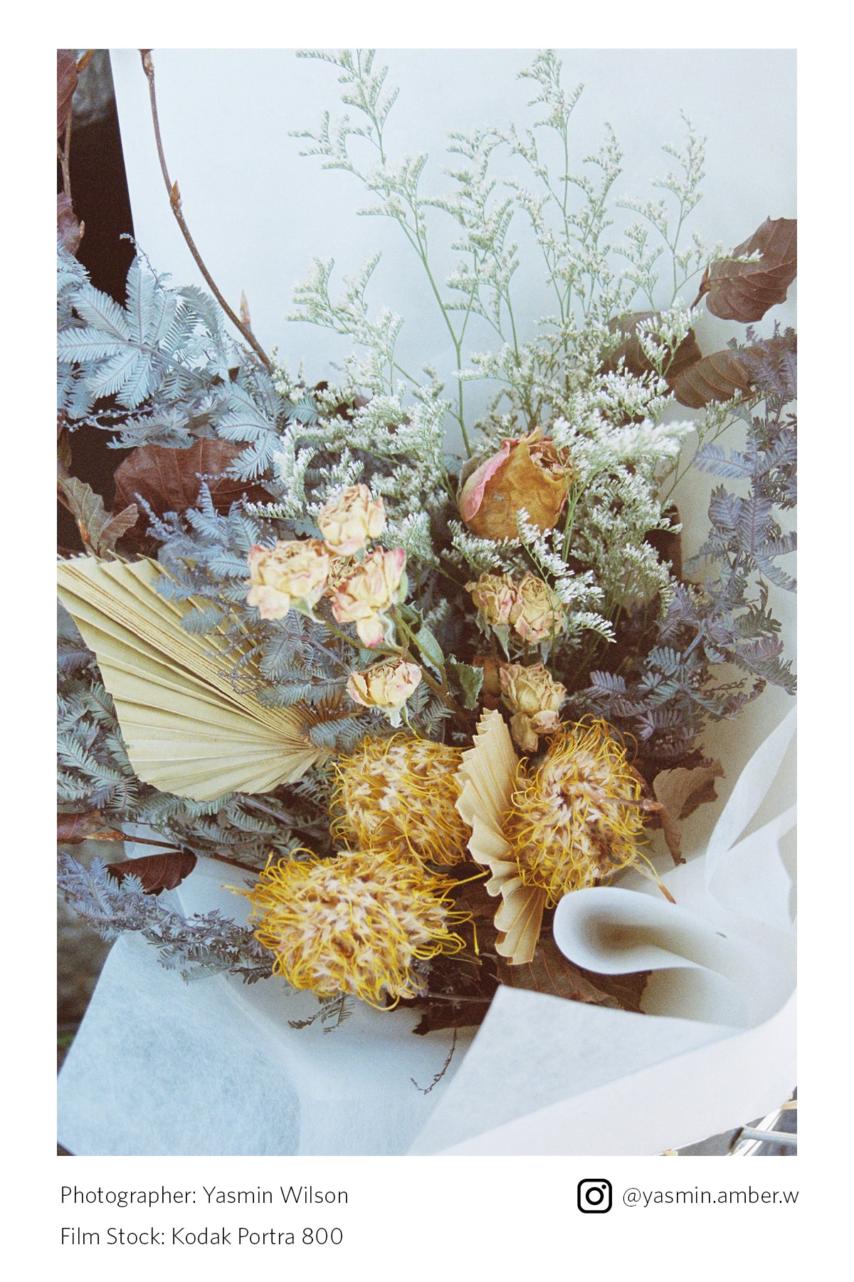 Bouquet of dried flowers with a white background