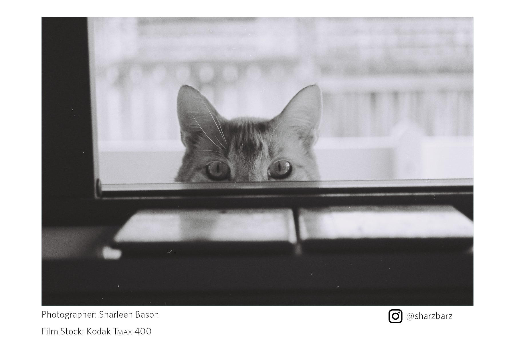 Kodak T-Max 400 (35mm Film)