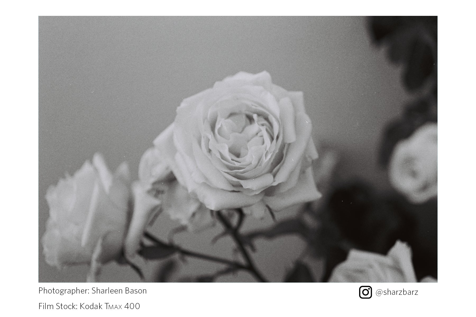 Kodak T-Max 400 (35mm Film)