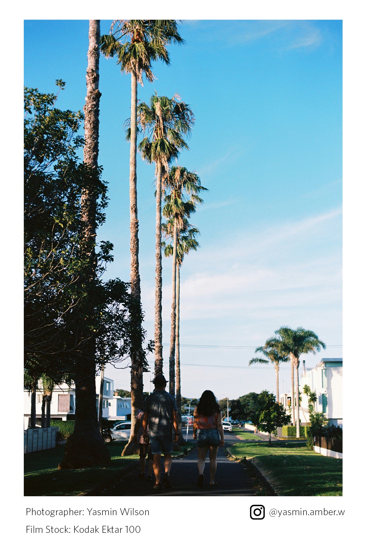 Two people walking along a path lined with palm trees under a clear blue sky.