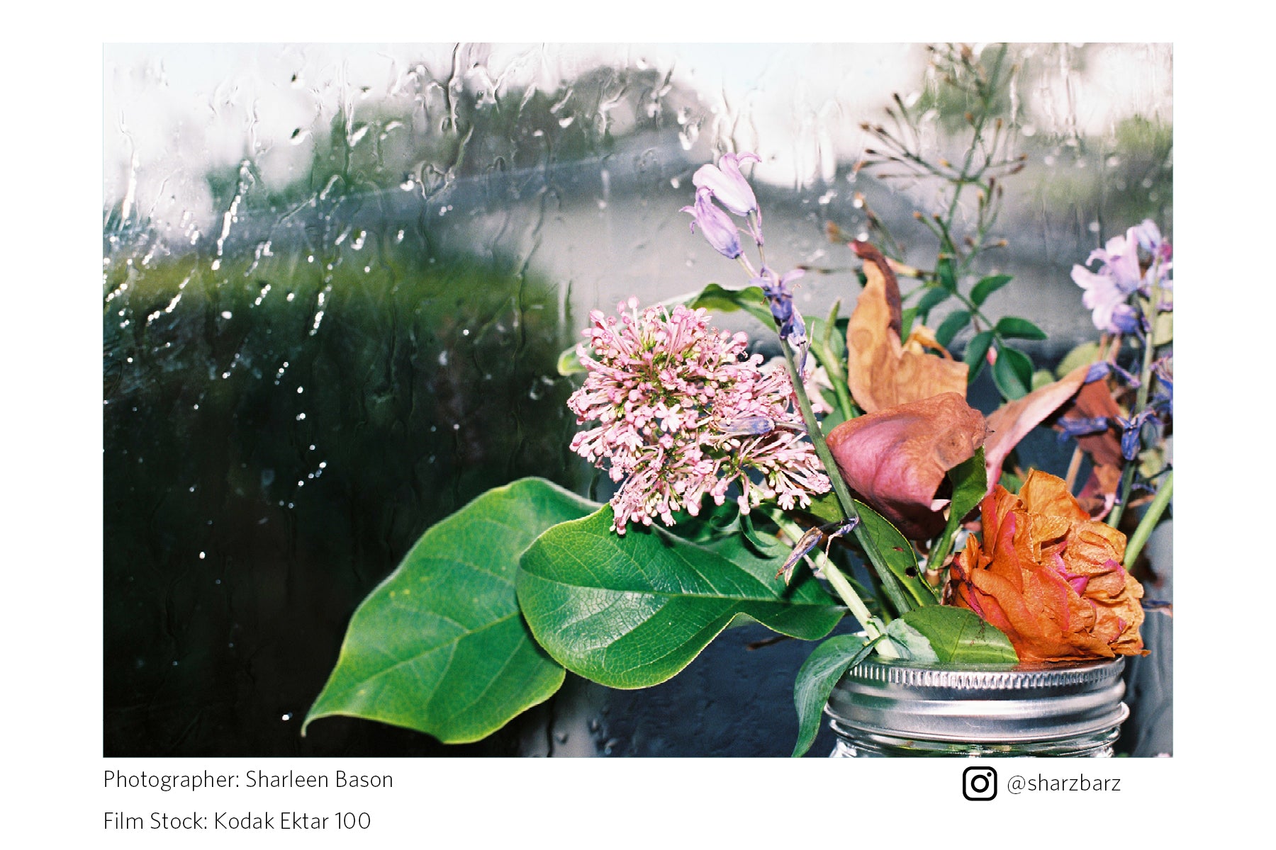 Floral arrangement with pink flowers and green leaves on a white background