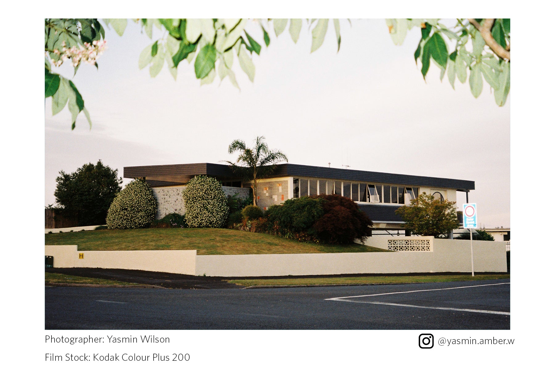 Kodak Color Plus 200 (35mm Film)