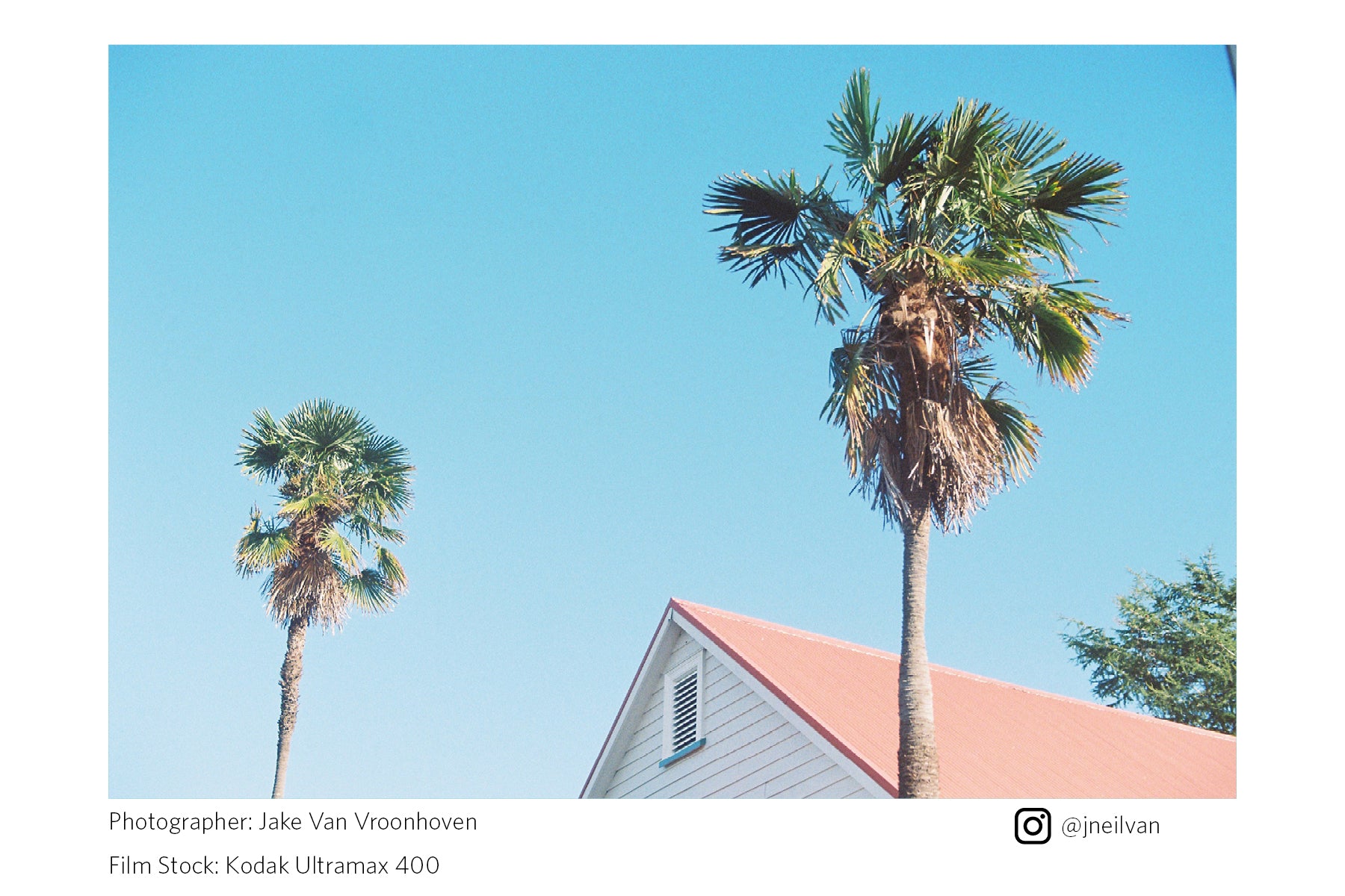 Two palm trees with a house and clear blue sky in the background