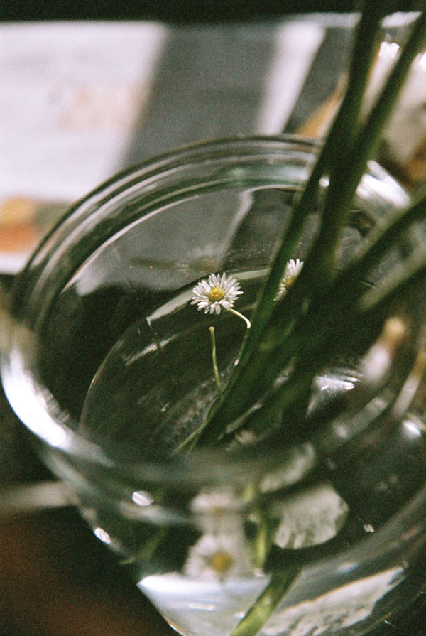 Lomography Color '92 (35mm Film)