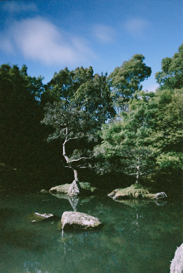 Lomography Color '92 (35mm Film)