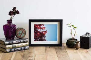 Black box frame