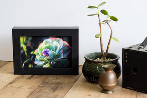 Box Frame - Black