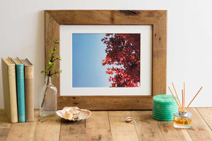 Recycled Rimu Frame