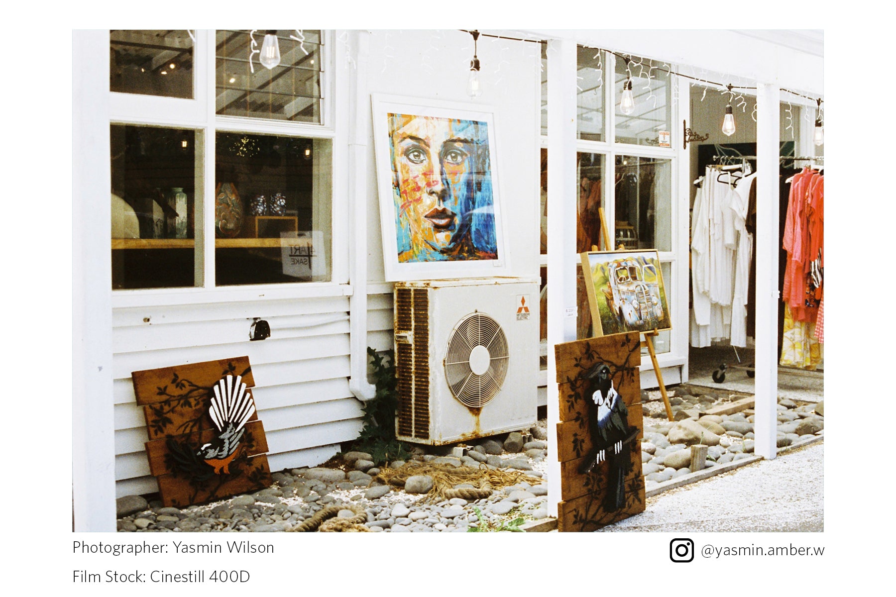 Cinestill 400D (35mm Film)