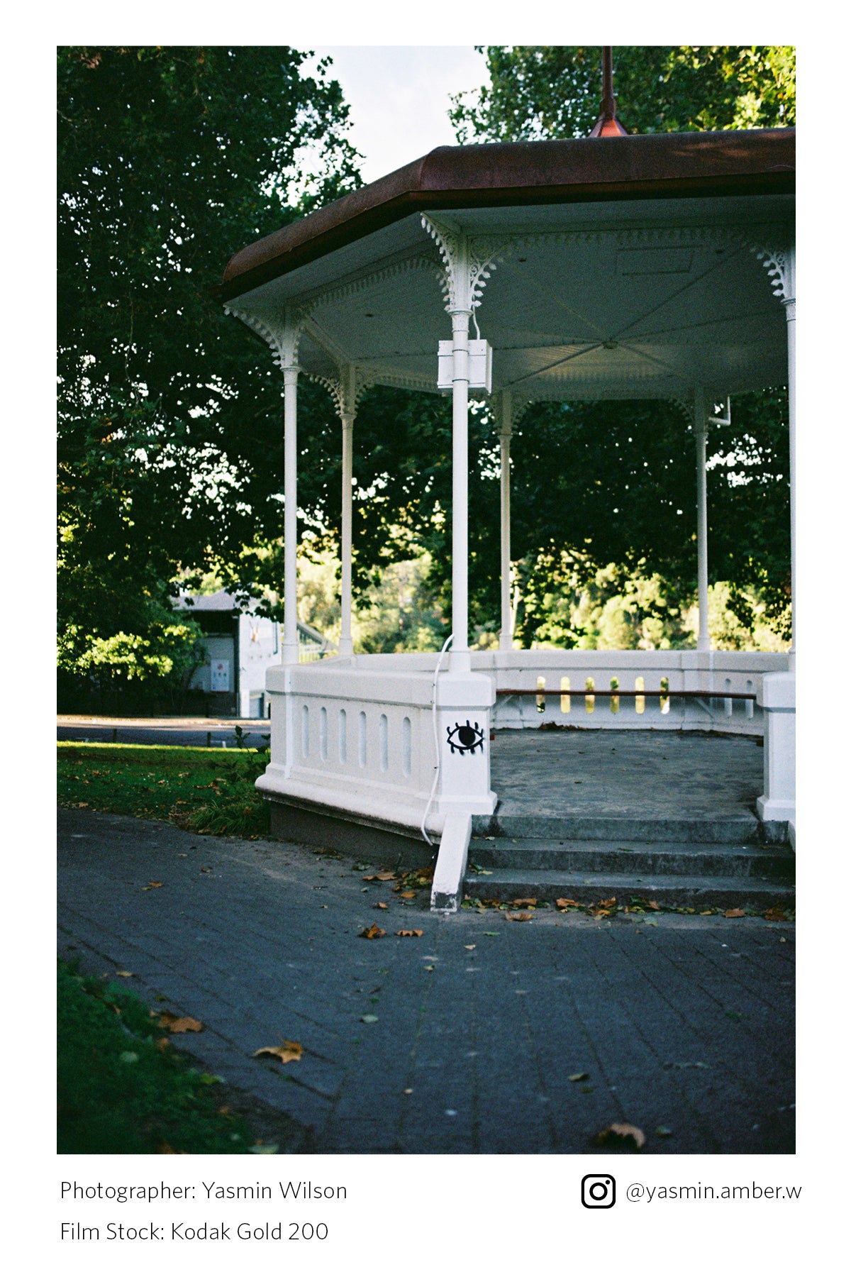 Kodak Gold 200 36exp (35mm Film)