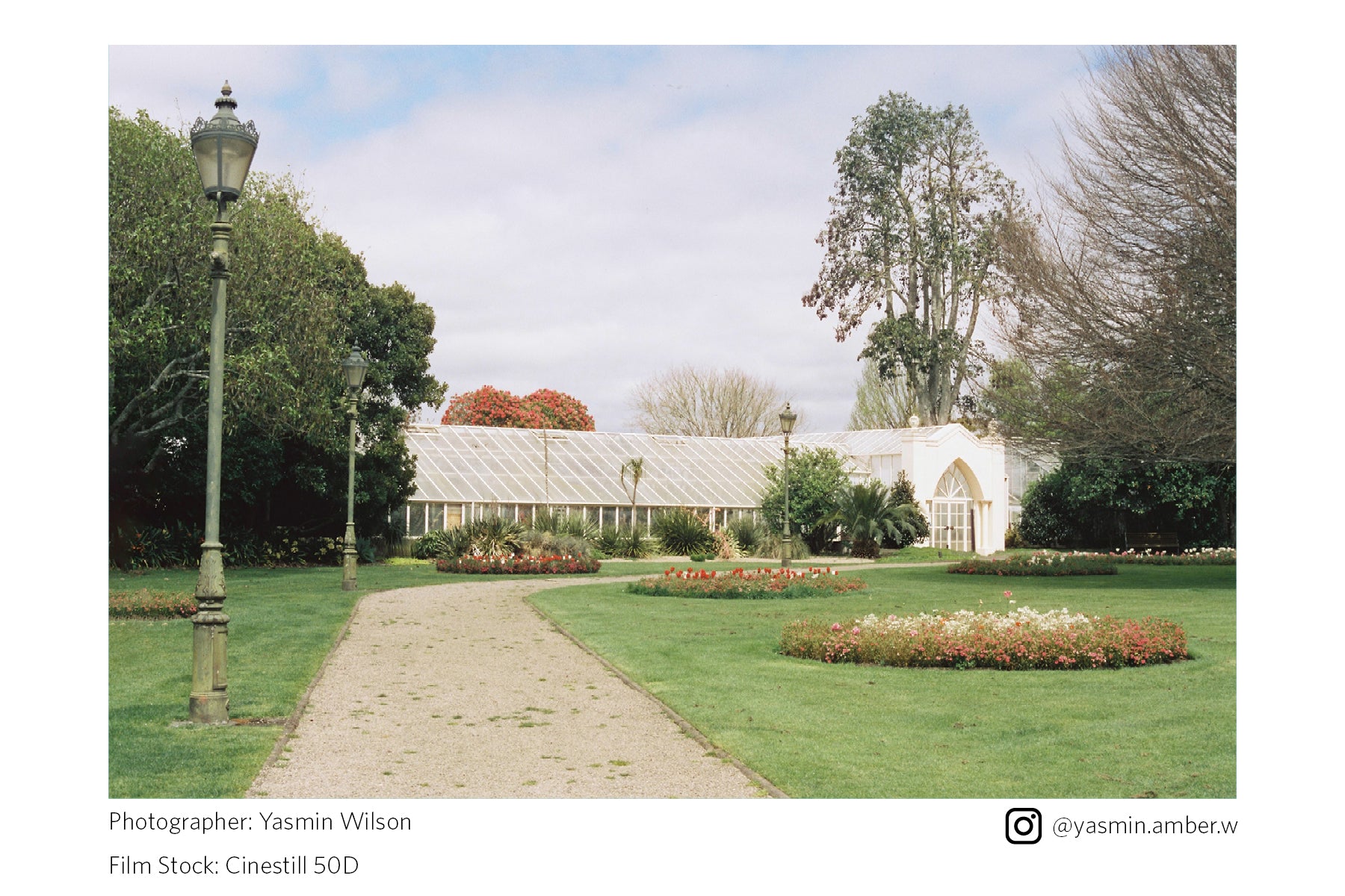 Garden with a greenhouse and a pathway leading to it shot in Cinestill 50D