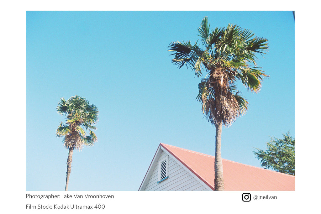 Two palm trees with a house and clear blue sky in the background