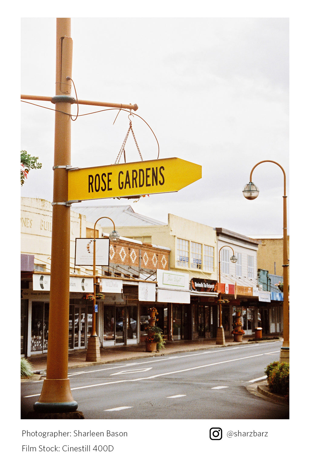 Street sign pointing to 'Rose Gardens' with a city street in the background shot on Cinestill 400D
