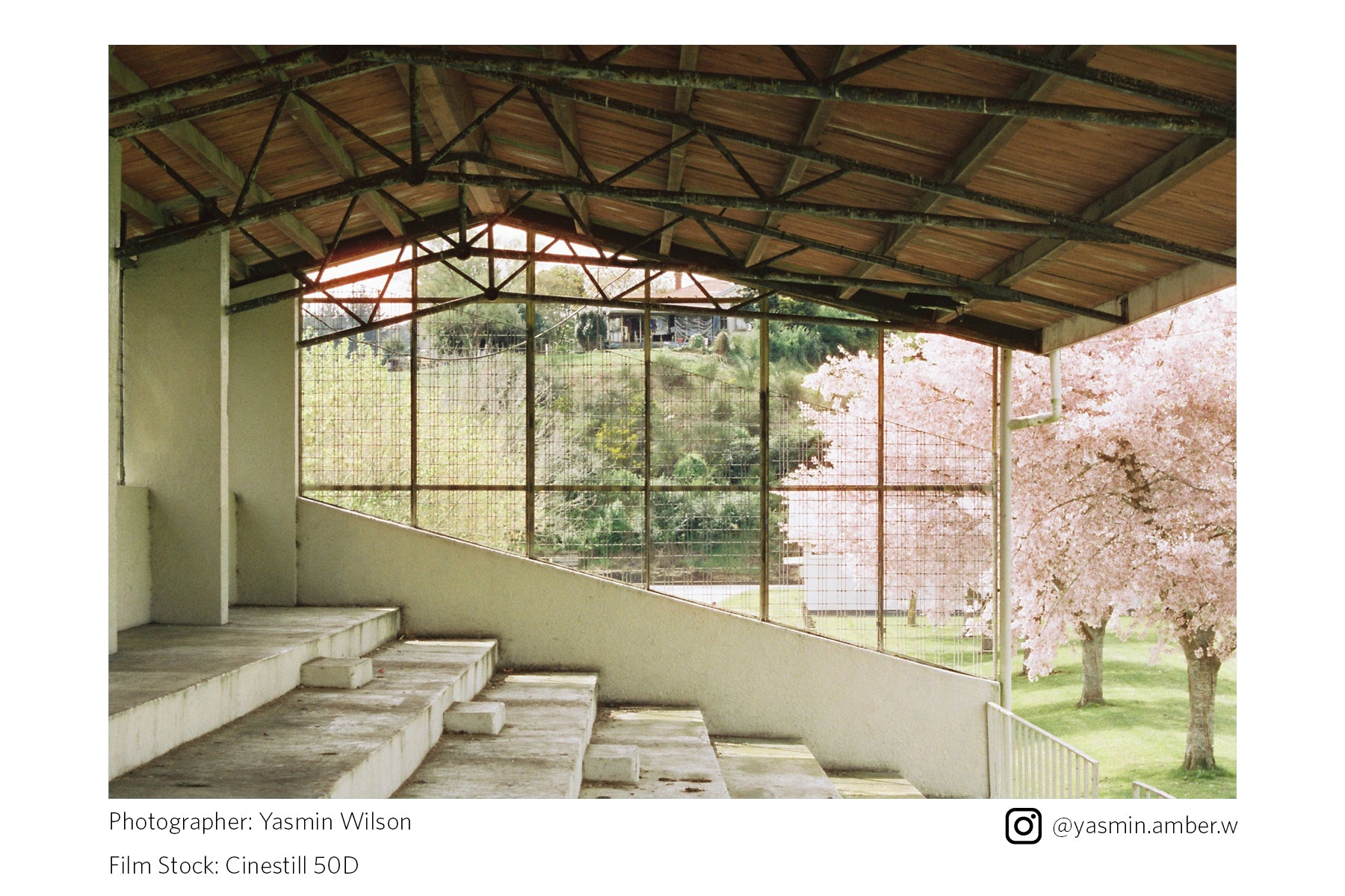 Modern architectural structure with large glass windows overlooking a scenic landscape showing halation from Cinestill 50D