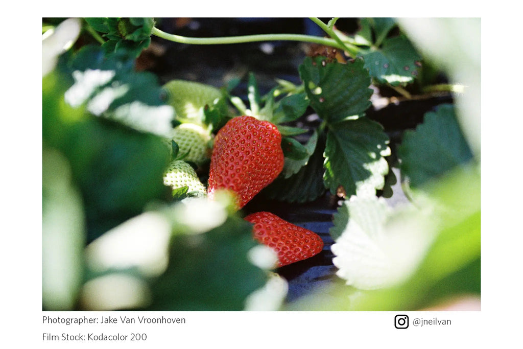 Kodak Kodacolor 200 35mm Film