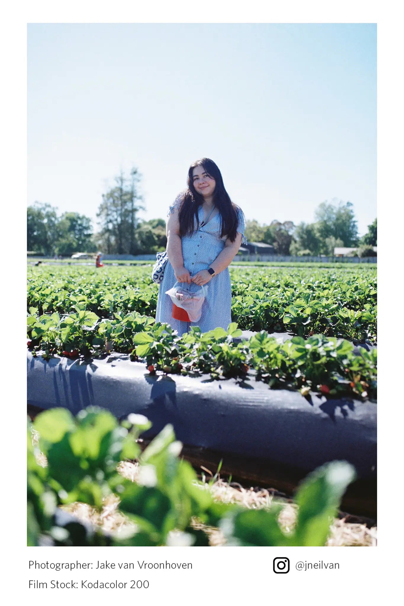 Kodak Kodacolor 200 35mm Film