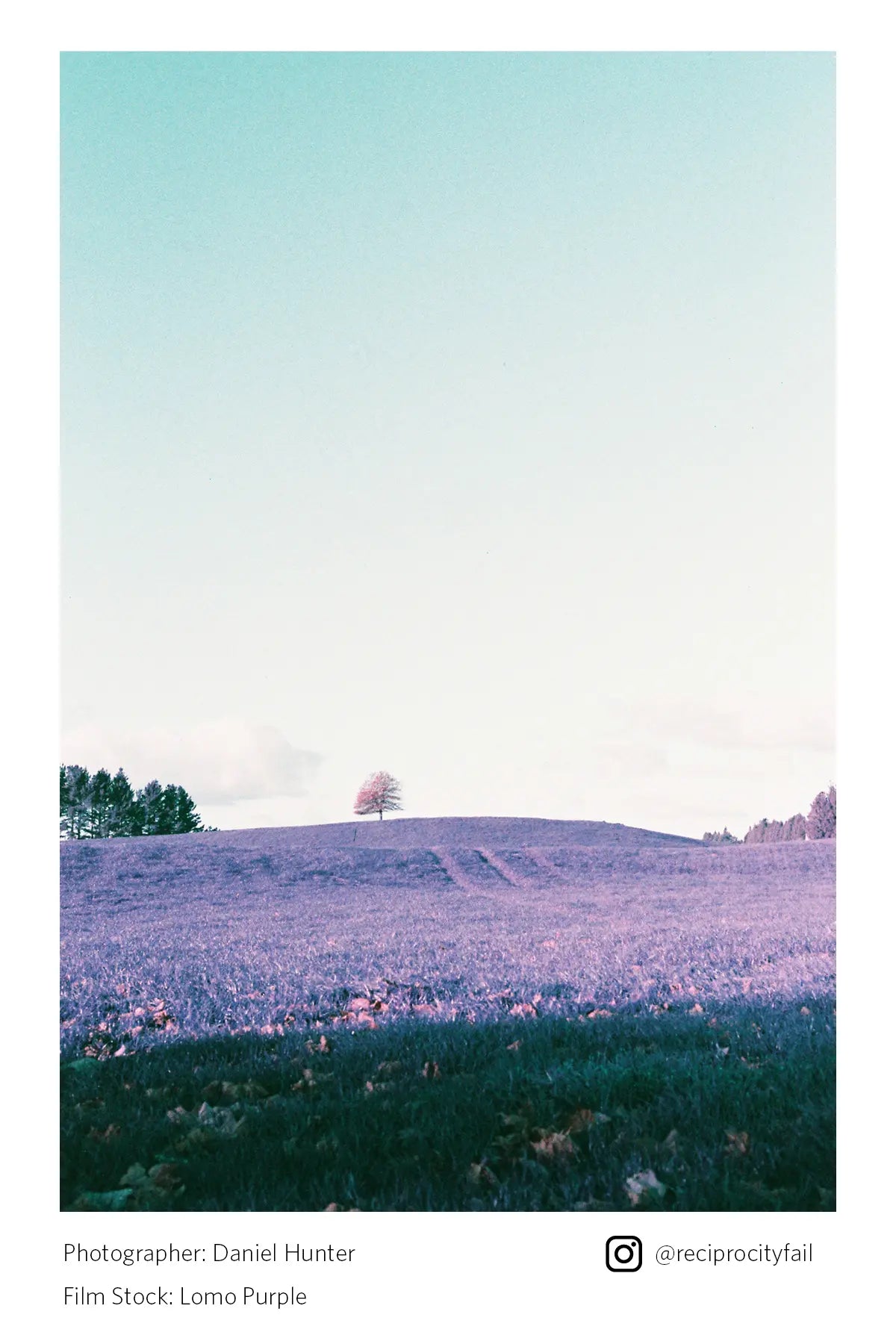 Lomography LomoChrome Purple 35mm