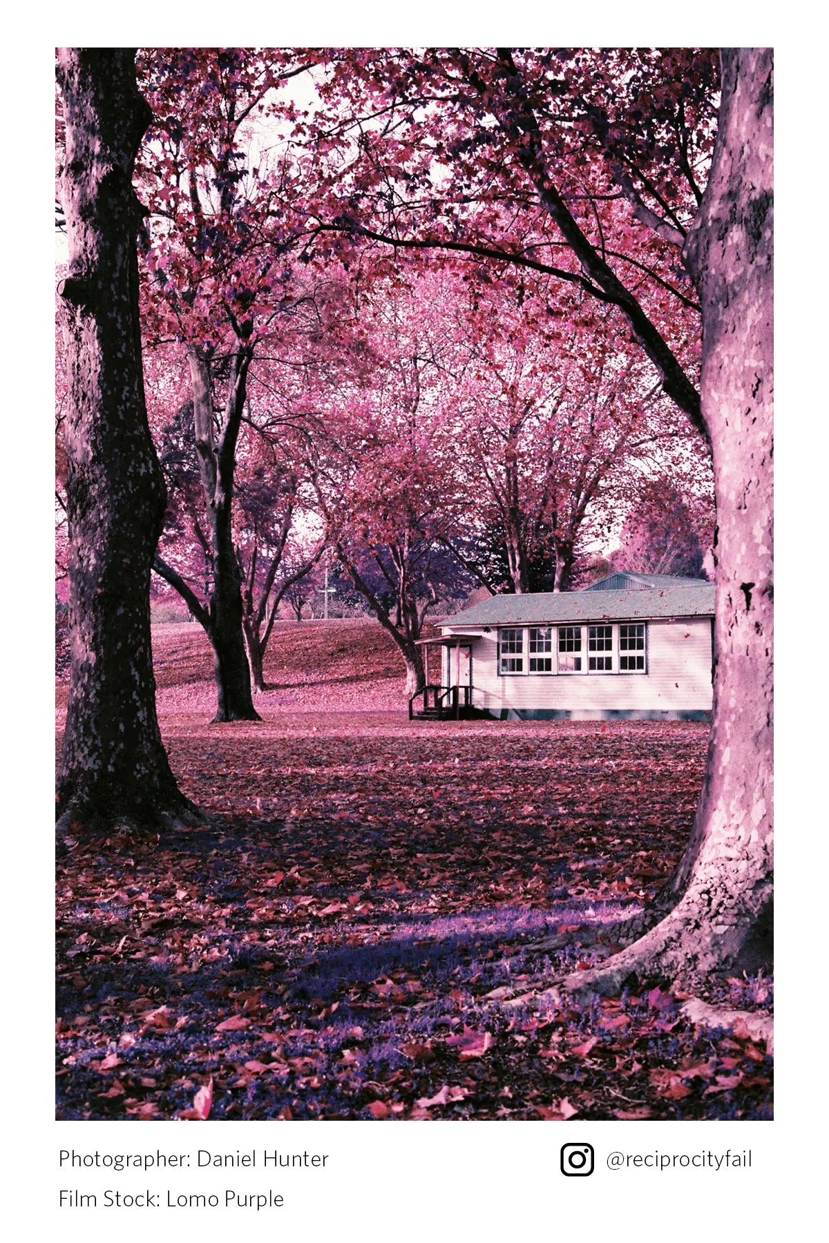 Lomography LomoChrome Purple 35mm