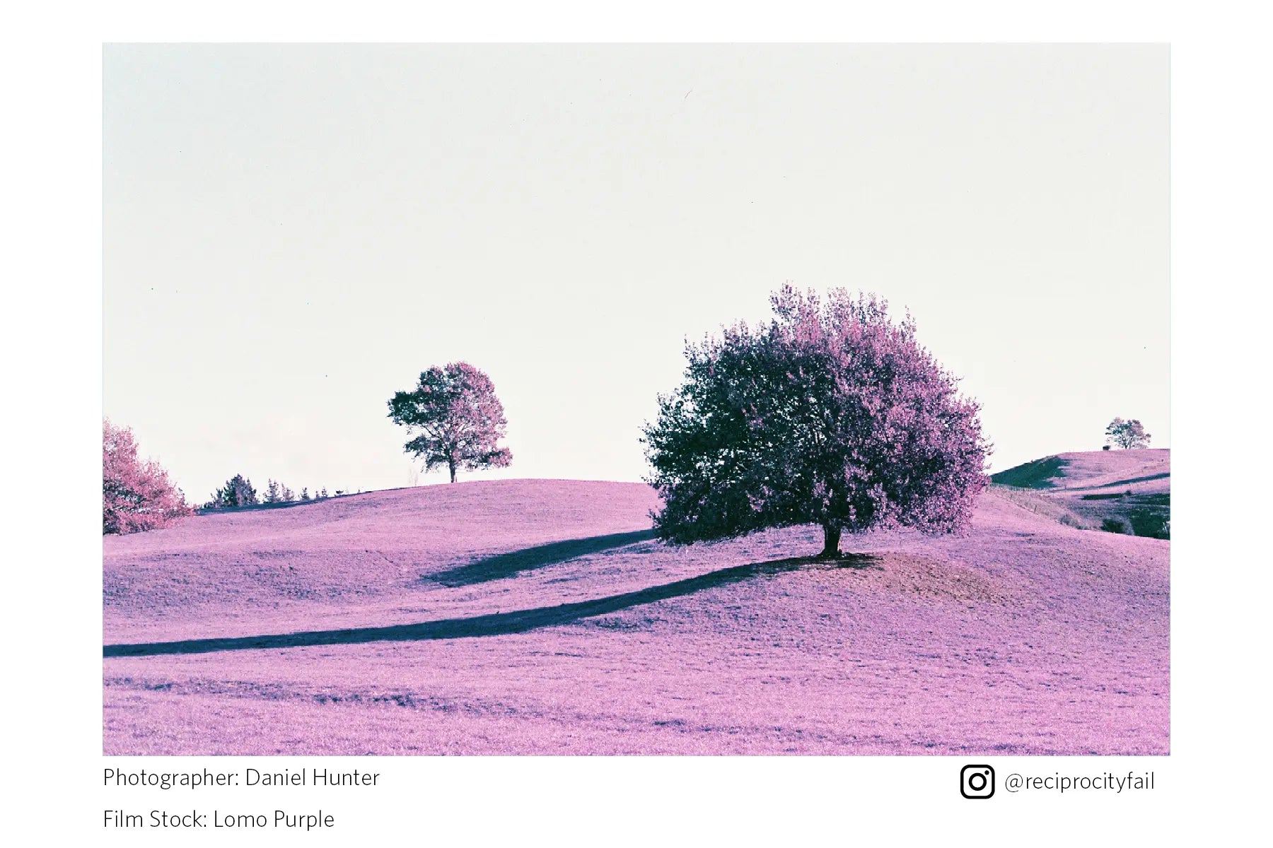 Lomography LomoChrome Purple 35mm